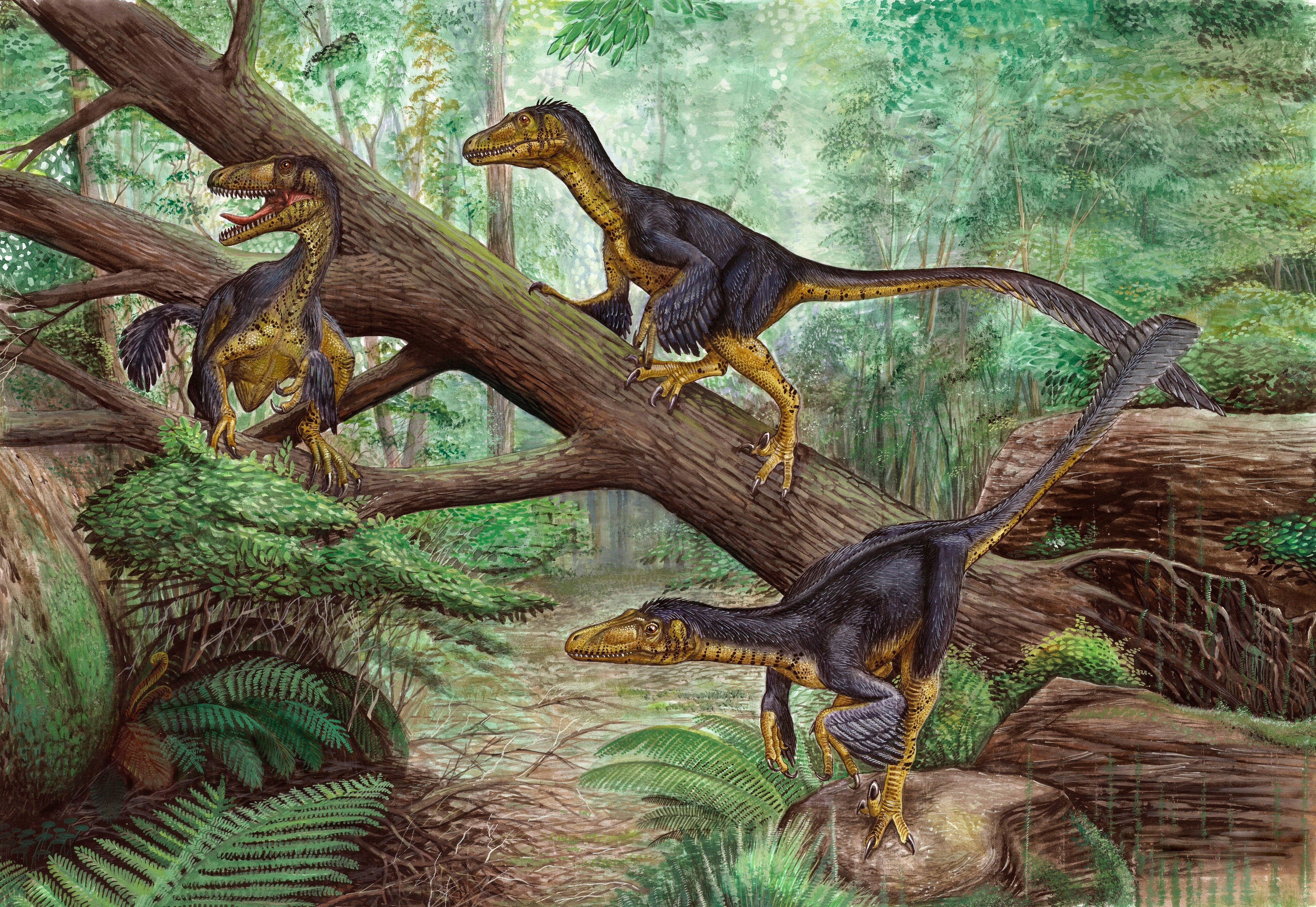 Situl pierdut al dinozaurilor din Transilvania a fost regăsit după 100 de ani. Cercetătorii au făcut noi descoperiri surprinzătoare
