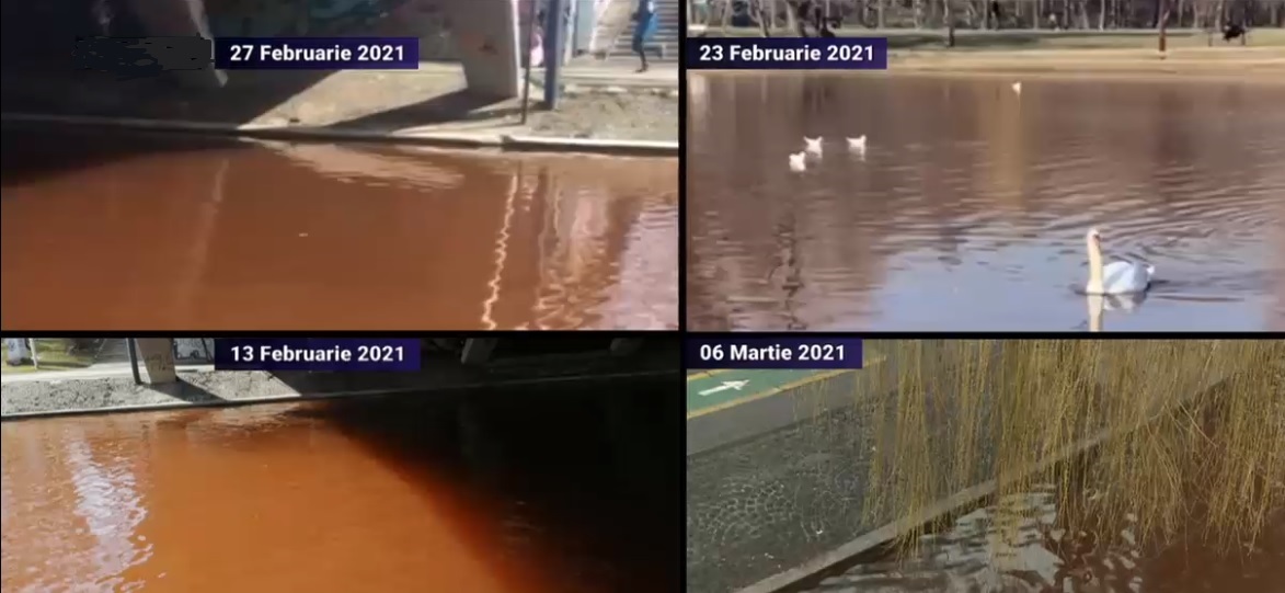Fenomen ciudat în parcul IOR din București. Apa lacului este roșie de câteva săptămâni