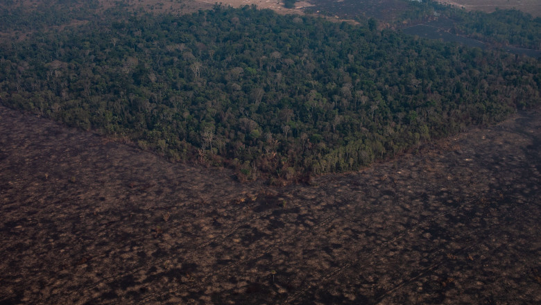 Pădurea amazoniană cu zone incendiate