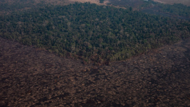 Pădurea amazoniană cu zone incendiate