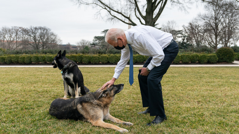 Joe Biden mângâie pe unul dintre câinii săi.