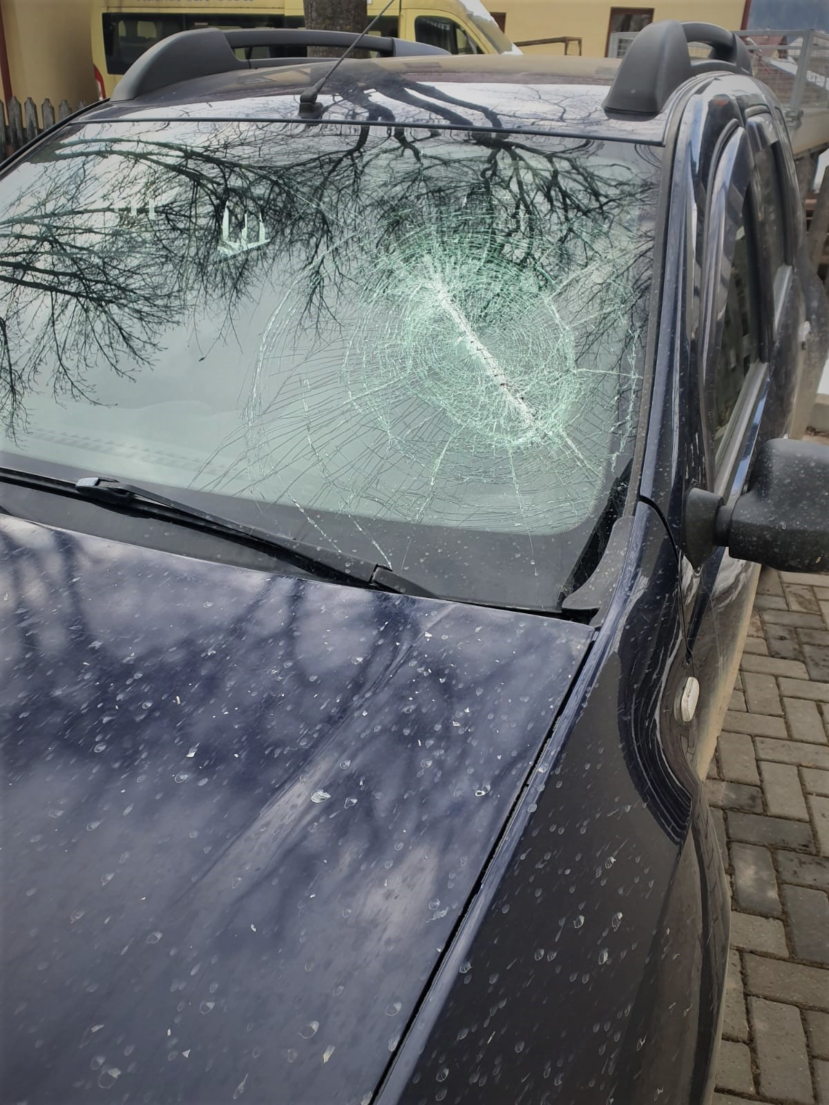 Șeful unui ocol silvic a fost bătut în birou. Un bărbat ar fi devenit violent „fără niciun motiv”