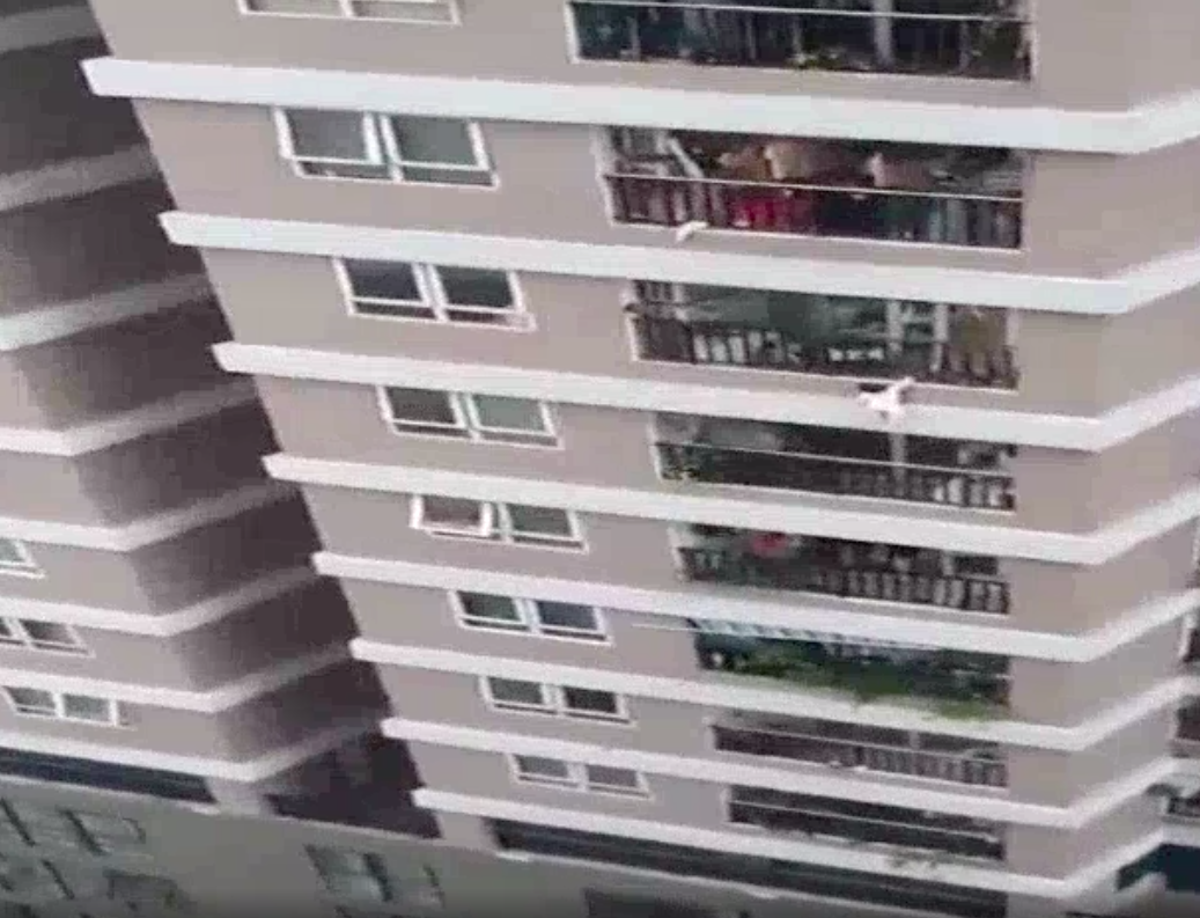 Un copil de doi ani care a căzut de la etajul 12 al unui bloc a fost salvat în mod miraculos de un trecător