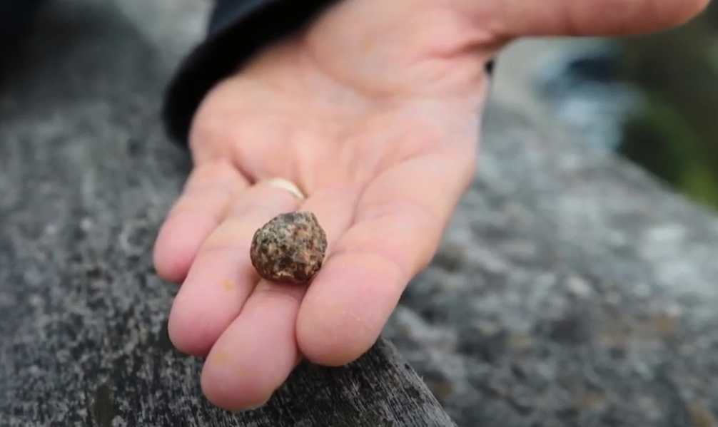 A fost identificat un meteorit la fel de vechi ca sistemul solar. A călătorit 4,5 miliarde de ani, apoi a căzut în Sahara