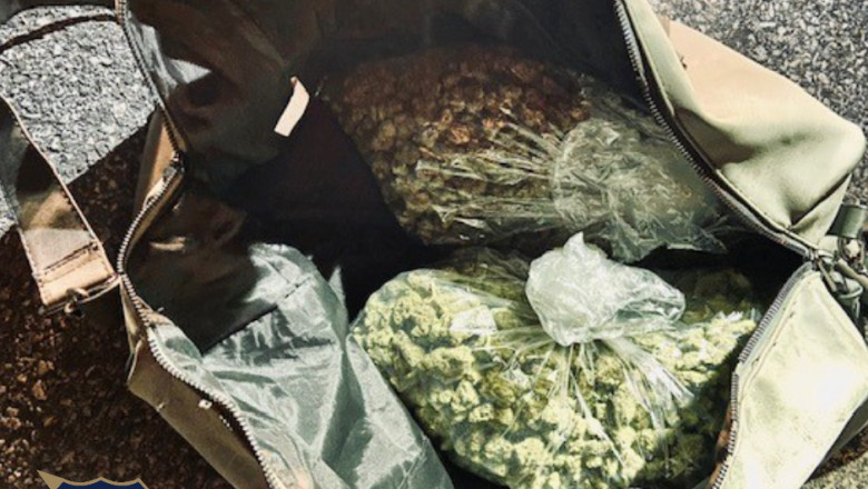 marihuana confiscata de politie
