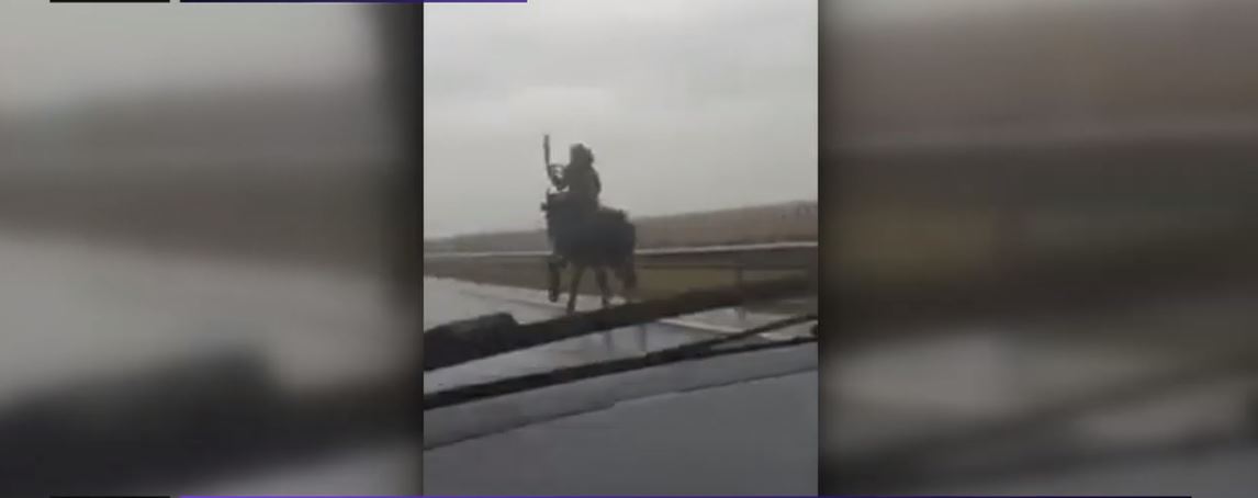 Haiducul din Dolj, căutat de poliție. Un bărbat a fost filmat de un șofer în timp ce gonea călare, pe un drum european