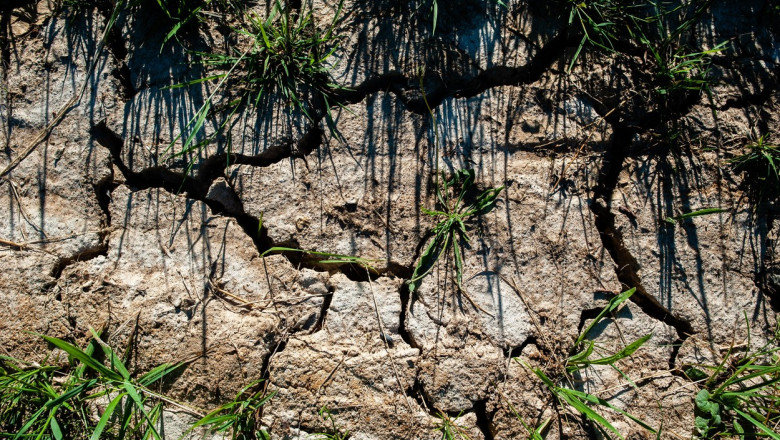 Creşterea frecvenţei şi intensităţii dezastrelor ameninţă sistemele alimentare ale planetei, avertizează ONU