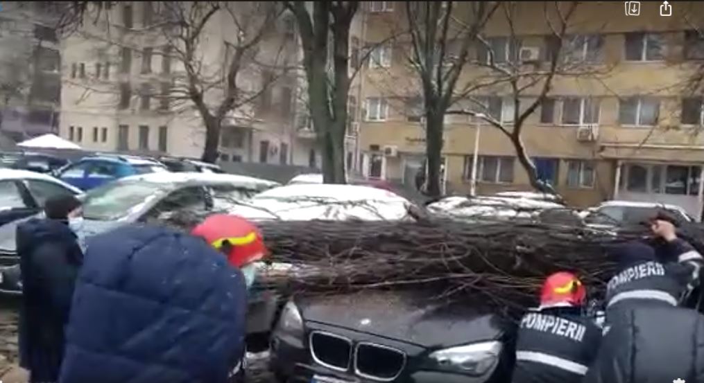 VIDEO. Mașini avariate de un copac prăbușit din cauza vântului, în Capitală