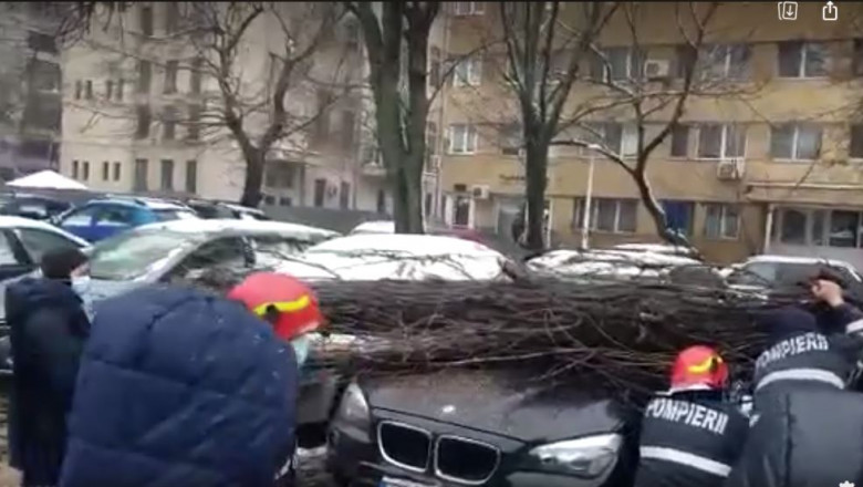 copac cazut peste masini