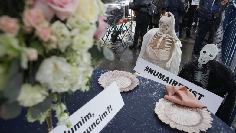 protest la guvern papusi schelet imbracate in miri
