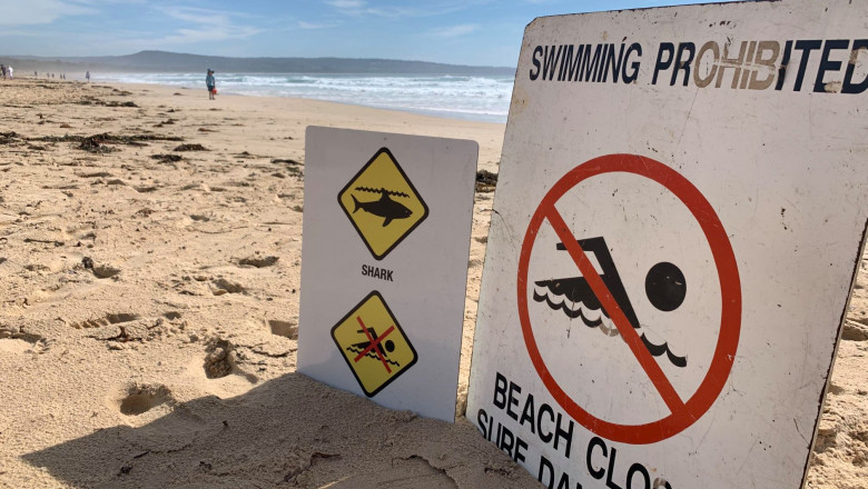 semn inot interzis, atentie rechini infipt in nisip pe plaja
