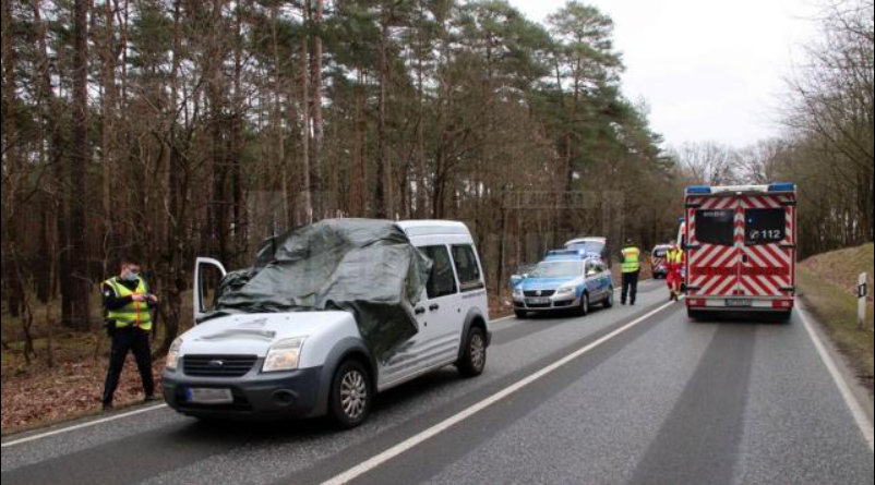 Cum a fost ucis de o căprioară un tânăr de 21 de ani din Suceava. Accidentul bizar s-a petrecut în Germania