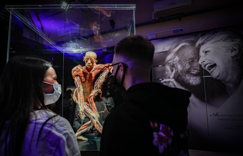 The exhibition Body Worlds in Moscow