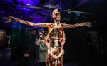 The exhibition Body Worlds in Moscow