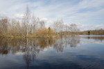 Parcul Național Soomaa