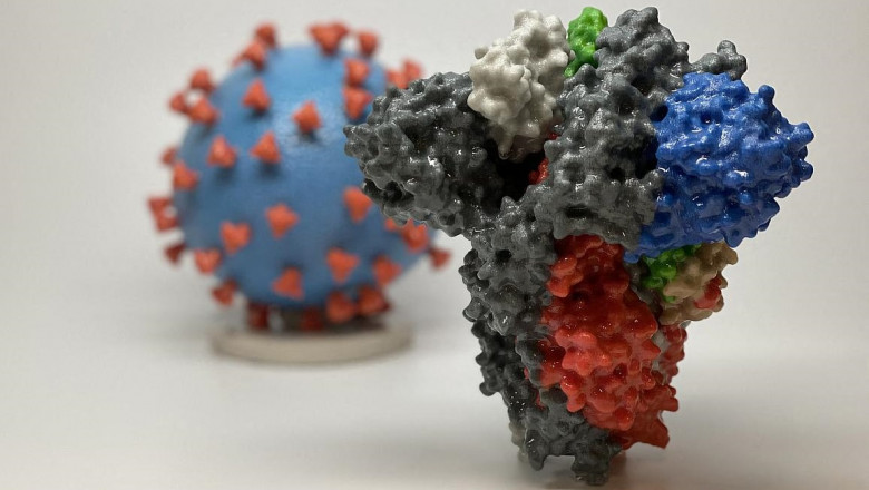 virus sars cov 2 si proteina spike