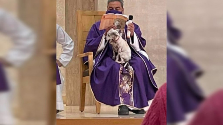 Un preot din Mexic a celebrat liturghia cu cățelul în brațe