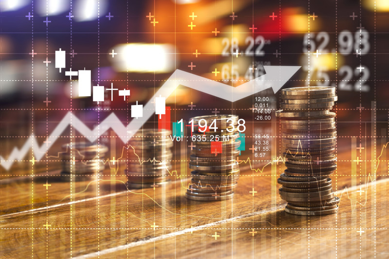 finante fmi bani statistici