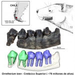 ramasite descoperite mamifer1