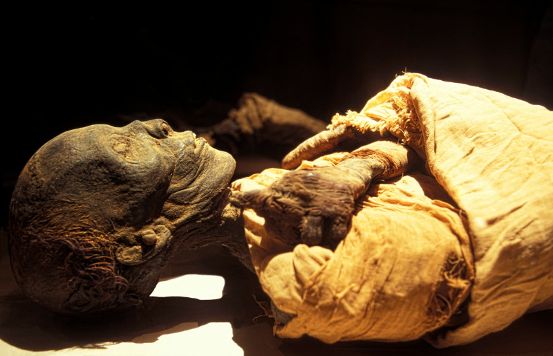 Tuthmosis I mumie egipt