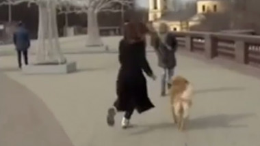 Un reporter aleargă după un câine care i-a furat microfonul.