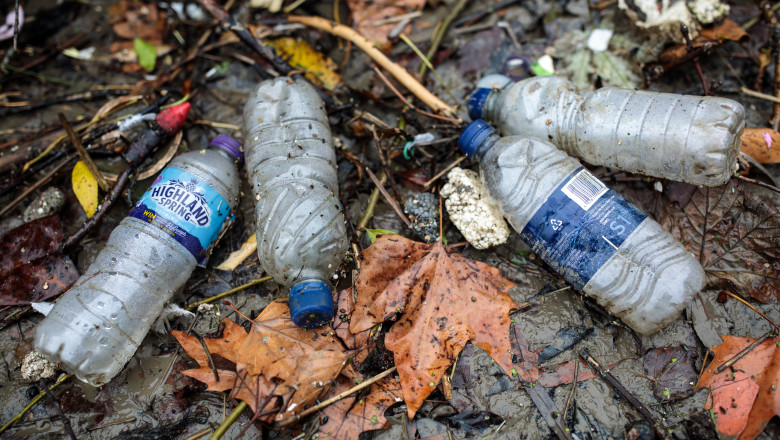 Sticle goale, gunoi, frunze și deșeuri pe pământ ud