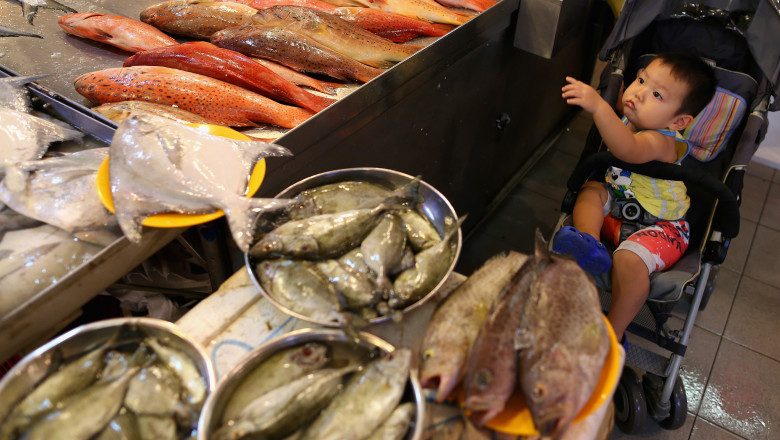 Un copil privește la pești într-o piață umedă din Singapore