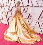 93rd Annual Academy Awards red carpet arrivals