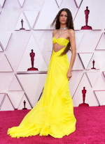 93rd Annual Academy Awards red carpet arrivals