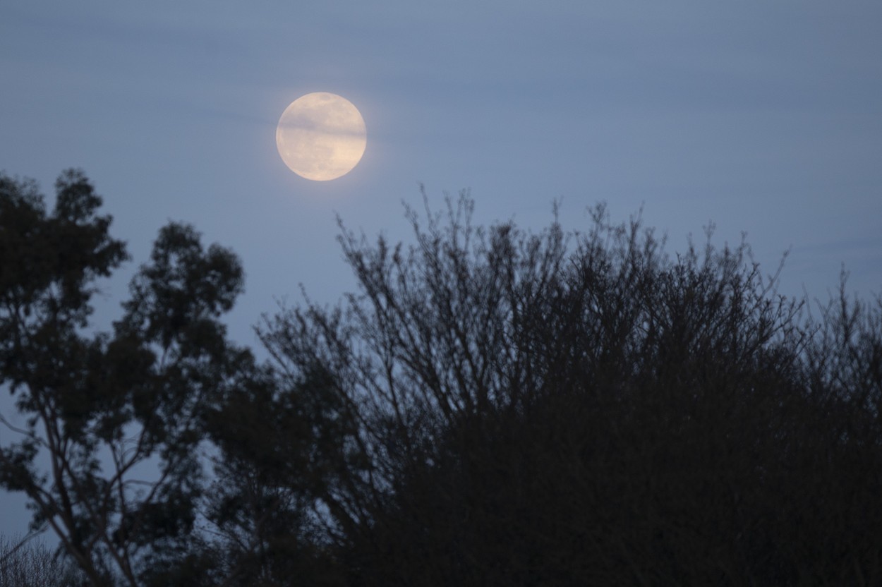 „Superluna roz”, fenomenul astronomic rar vizibil în această noapte