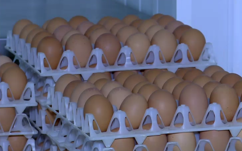 Alertă sanitară în prag de sărbători: 1,5 milioane de ouă, care ar fi contaminate cu Salmonella, retrase de la vânzare