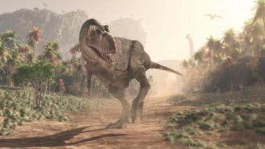 ilustratie cu un Tyrannosaurus Rex in jungla.