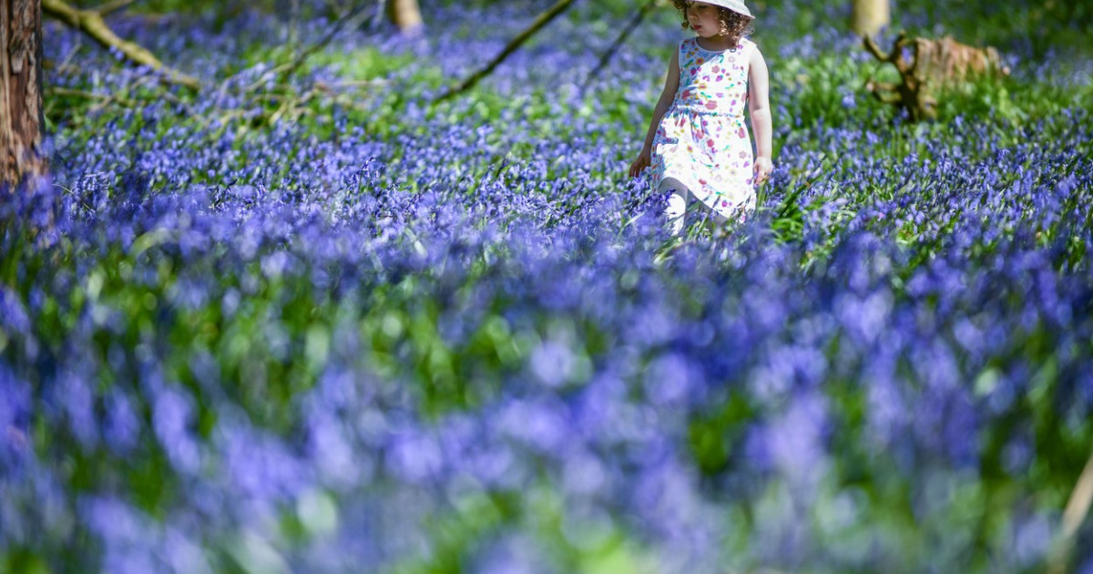 Estimări meteo pentru aprilie. Perioada în care va fi mai cald decât de obicei și va ploua mai mult