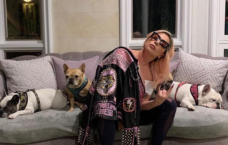 Bărbatul acuzat că l-a împușcat pe cel care plimba câinii lui Lady Gaga a fost eliberat din închisoare din greșeală