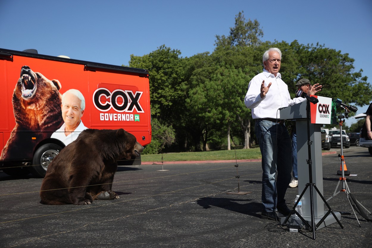 urs campanie john cox profimedia-0609252492