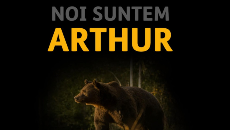 carton cu ursul arthur pe care scrie „noi suntem arthur”