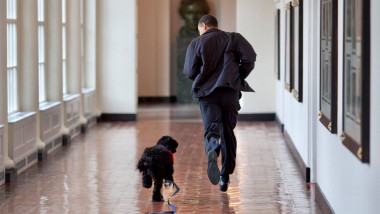 Barack Obama și Bo aleargă pe culoarele Casei Albe