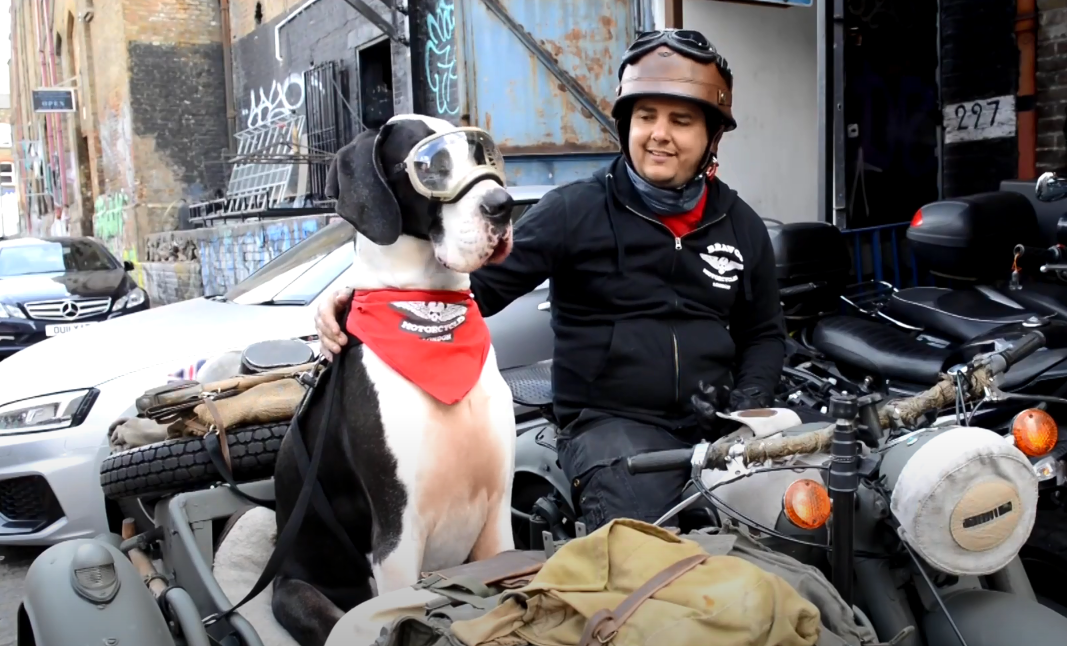 VIDEO. Imagini virale cu un dog german, nelipsit de la plimbarile stapanului cu motocicleta