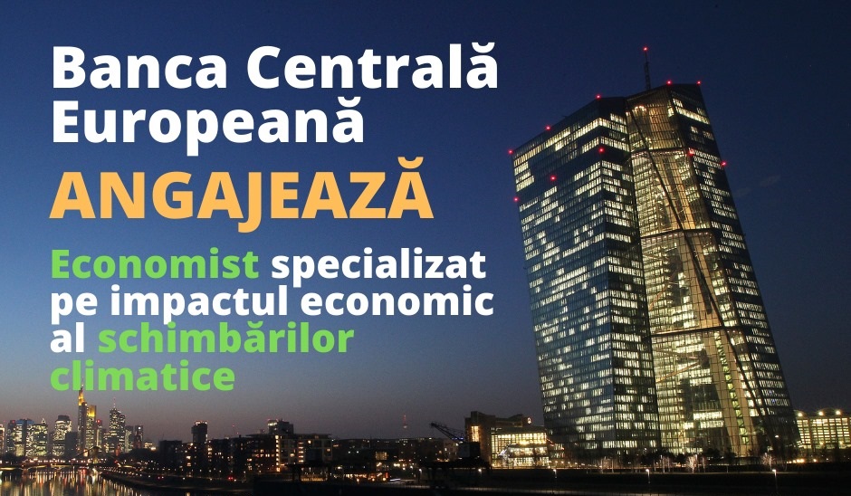 Reprezentanța Comisiei Europene în România trolează BNR, după ce a anunțat că a angajat-o consultant pe Viorica Dăncilă
