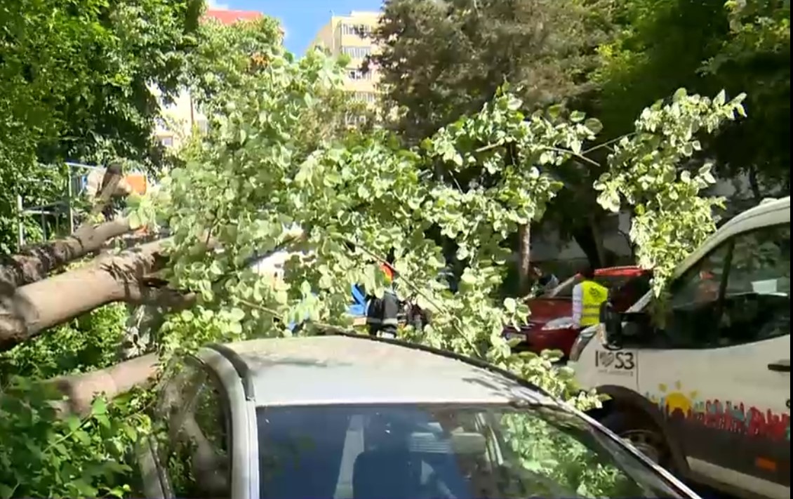 Vântul puternic a făcut ravagii în București. În ce zone a fost nevoie de intervenția pompierilor