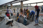 Covid-19 victim burial, Prayagraj, Uttar Pradesh, India - 16 May 2021