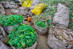 Workers at a recycling centre in Bogra, Bangladesh - 26 Jul 2018