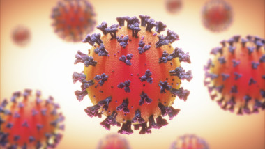 reprezentare grafica a coronavirusului