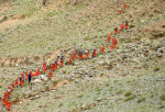 CHINA GANSU JINGTAI MARATHON RESCUE (CN)