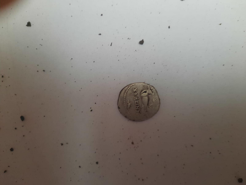 moneda antica