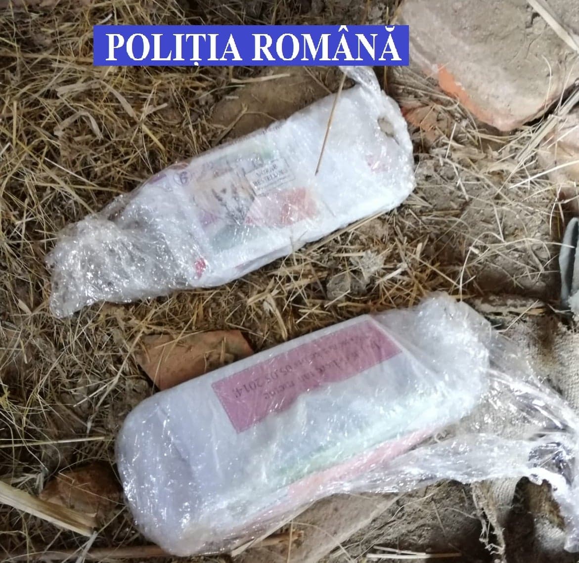 Un bărbat a furat 170.000 de euro din casa unei femei și i-a îngropat în curtea casei