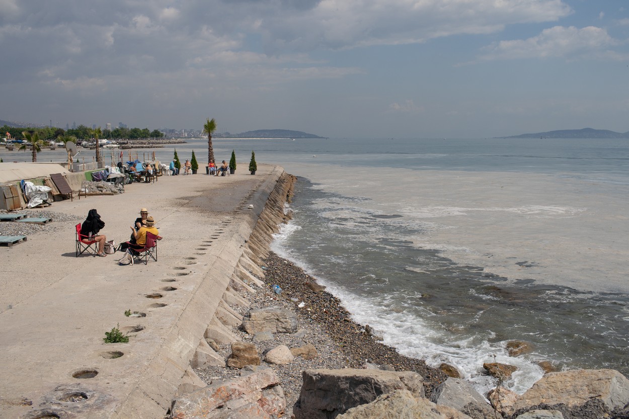 Massive marine mucilage Marmara Sea, Turkey