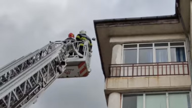 Pompierii au avut nevoie de autospeciala de intervenţie la înălţime pentru a salva porumbelul