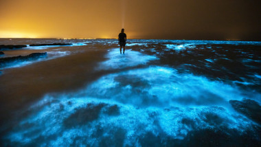 Un bărbat stă în mijlocul algelor bioluminiscente, în apele Golfului Jervis din Australia.