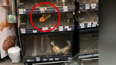 doi sobolani mananca dintr-un covrig pe raftul unui supermarket din Sectorul 1